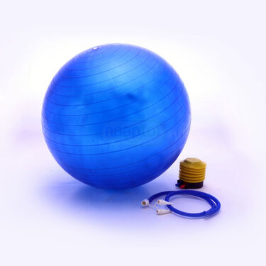 Gym Ball for Exercise & Workout (FAS46)