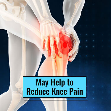 Knee Support With Pain Relief Oil (PRS133)